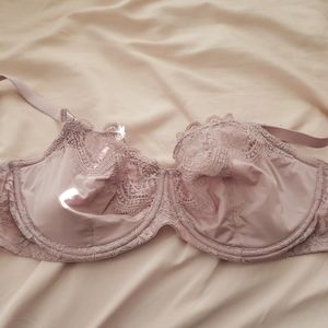 Dream Angel's bra